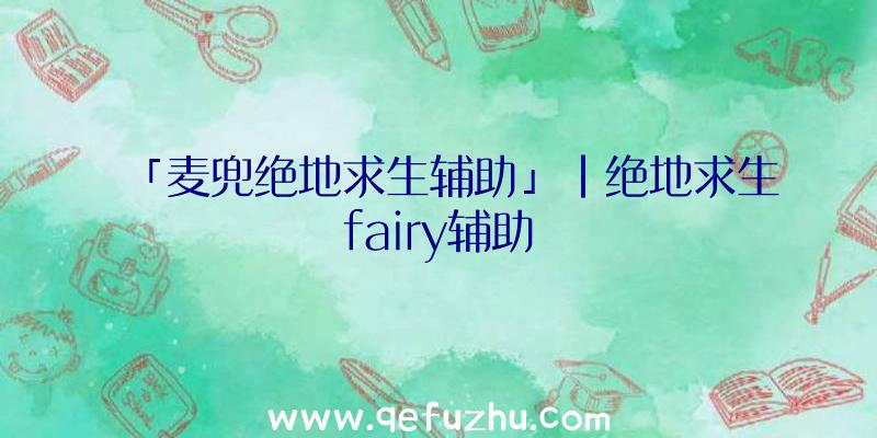 「麦兜绝地求生辅助」|绝地求生fairy辅助